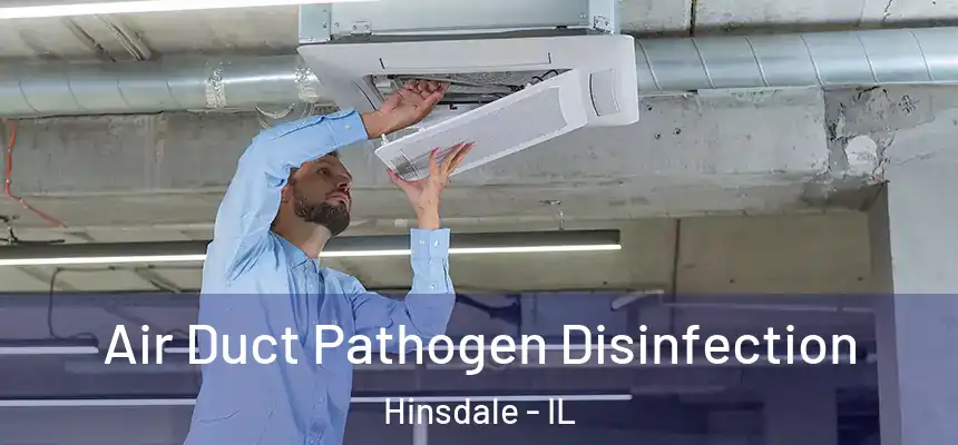  Air Duct Pathogen Disinfection Hinsdale - IL