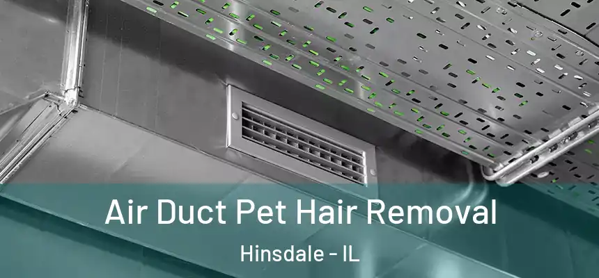  Air Duct Pet Hair Removal Hinsdale - IL