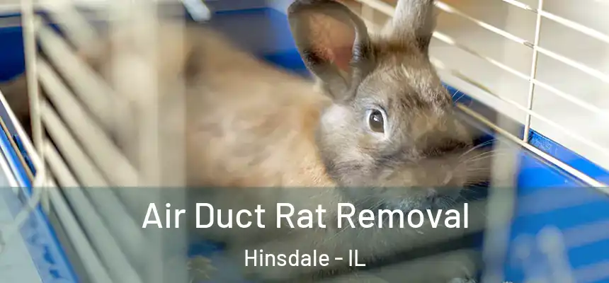  Air Duct Rat Removal Hinsdale - IL