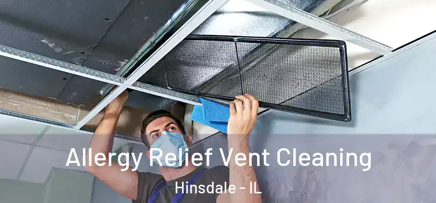  Allergy Relief Vent Cleaning Hinsdale - IL
