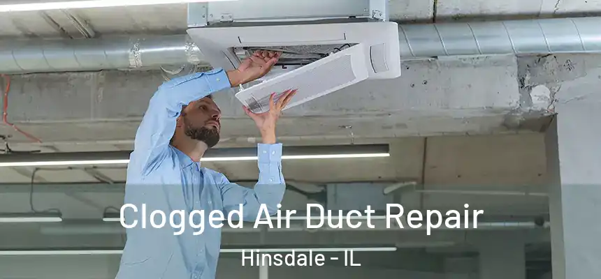  Clogged Air Duct Repair Hinsdale - IL