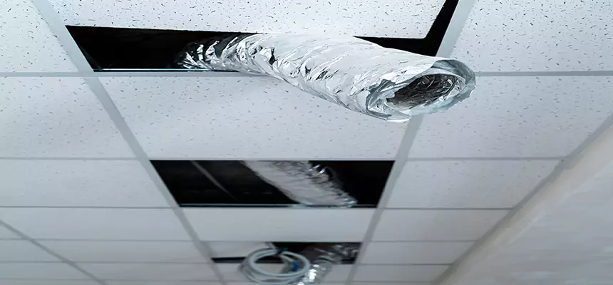 Affordable HVAC Sanitizing After Pest Removal in Hinsdale