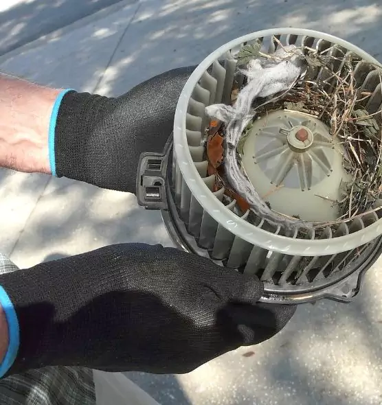 About Air Duct Mice Removal in Hinsdale, IL