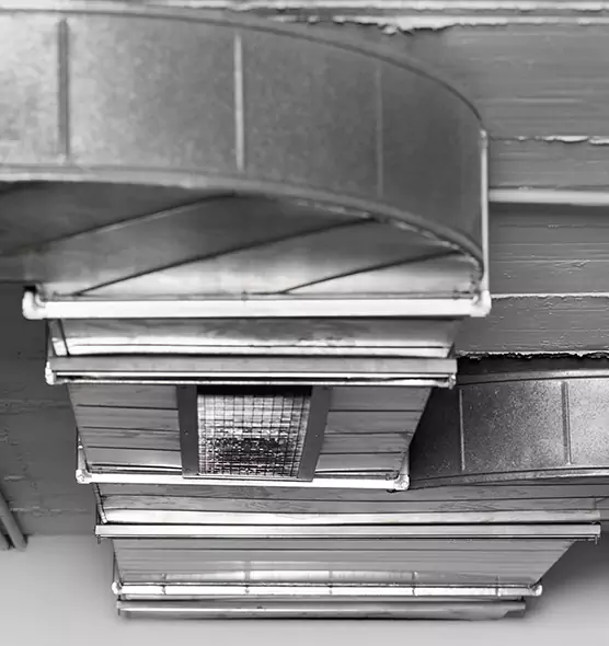 Professional Air Duct Pest Removal in Hinsdale, IL