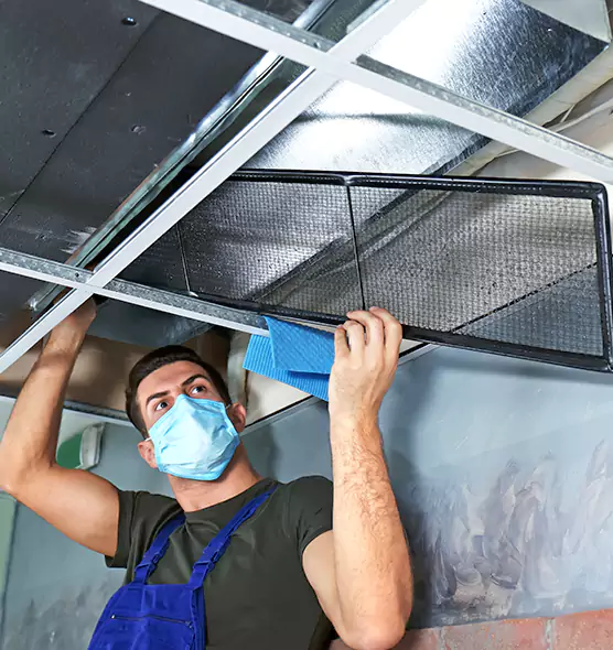 Professional Air Duct Pollen Cleaning in Hinsdale, IL