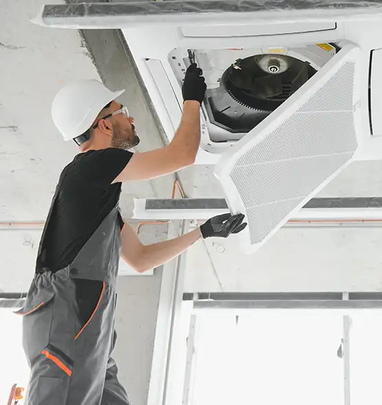 About Air Duct Rodent Removal in Hinsdale, IL