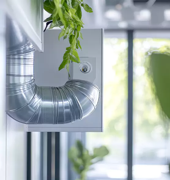 Professional Eco-Friendly Duct Cleaning Services in Hinsdale, IL