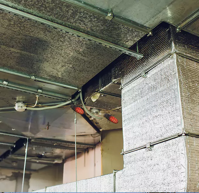 Why Homeowners & Businesses Trust Us in Hinsdale, IL?