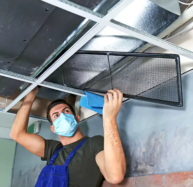 Why Homeowners Businesses Trust Us in Hinsdale, IL