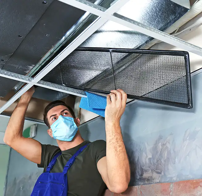 Why Homeowners & Businesses Trust Us in Hinsdale, IL?